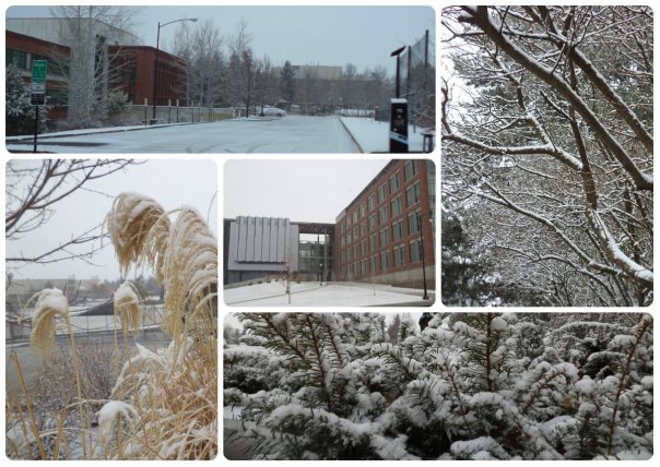 the last snow at WSU